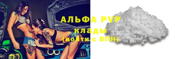 PSILOCYBIN Дмитриев