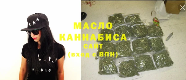 гашик Дмитров
