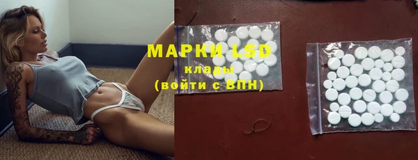 гашик Дмитров