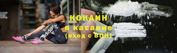 PSILOCYBIN Дмитриев