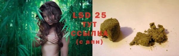 PSILOCYBIN Дмитриев