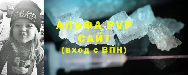 PSILOCYBIN Дмитриев