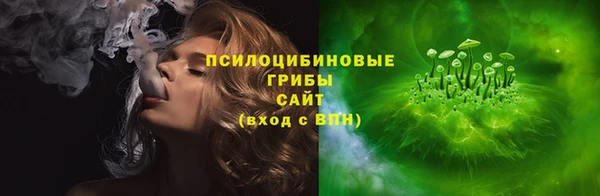 гашик Дмитров