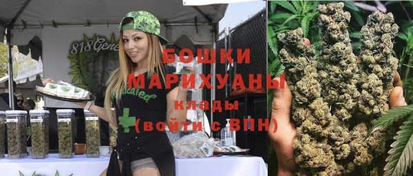 гашик Дмитров