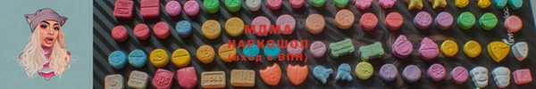 гашик Дмитров