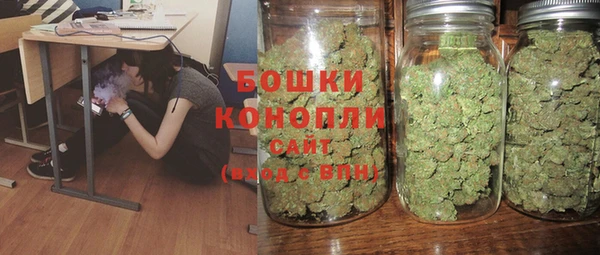 гашик Дмитров