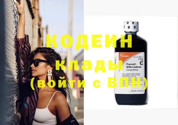 гашик Дмитров