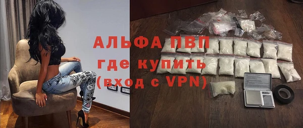 гашик Дмитров
