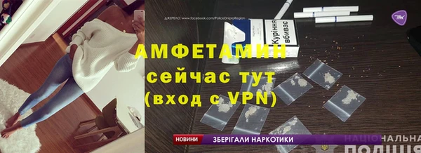 гашик Дмитров