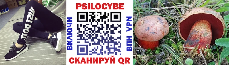закладки  Омутнинск  Псилоцибиновые грибы ЛСД 